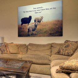 My Sheep - Products