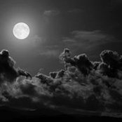 Eric Zolaski's photo