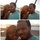 Marquita Hightower