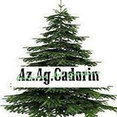 Foto di profilo di Az Ag Cadorin