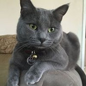 Tristan Valerius's photo