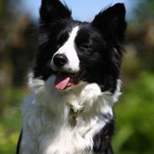 Sue Langdon's photo