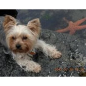 Sharon Flaherty's photo