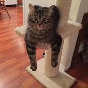 Lynn Dale Miller's photo