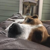 Ruth Moore's photo
