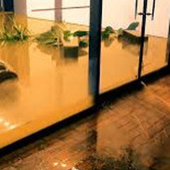 Spotless Flood Damage Restoration Sydney