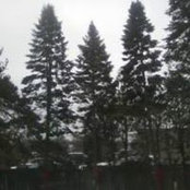 Nicole Gaudreau's photo