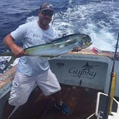 Greg Fogarty's photo