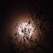 Becky Alexander's photo