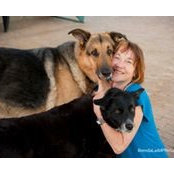 Sarah Irwin's photo