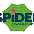 Spider Lawn & Landscape's profile photo