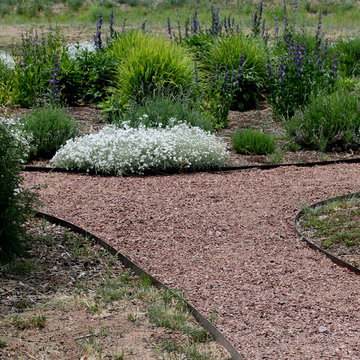 Edible Landscape
