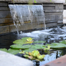 Water Feature
