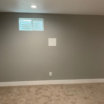 Standley Park Westminster | Basement Renovation