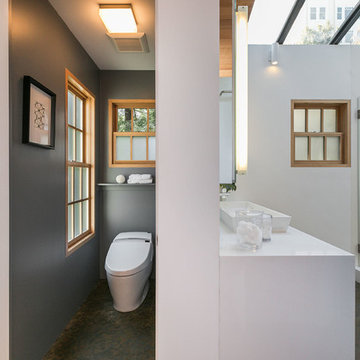 Cow Hollow House