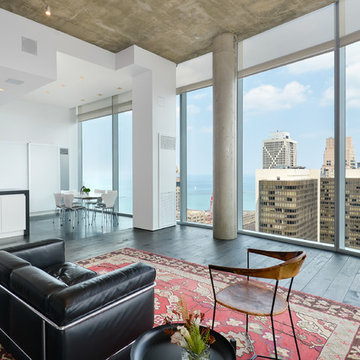 Chicago Penthouse
