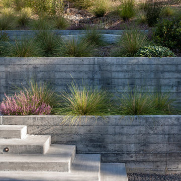 sebastopol hillside home