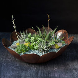 The Plant Recipe Book - Products