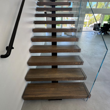 Steel and Glass Design- Tortoise Island