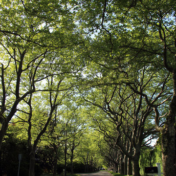 Wyandanch Lane Southampton Village New York