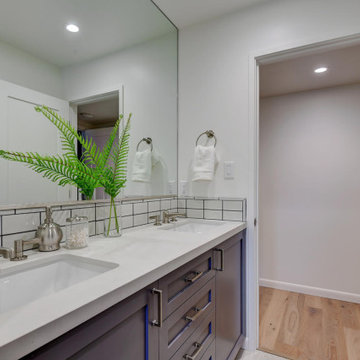 Mastersuite and Hall Bathroom Remodel