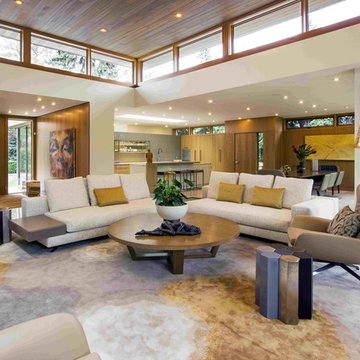 Modern Bungalow