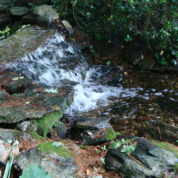 Ponds and Water Features