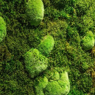 Jardín Vertical Interior