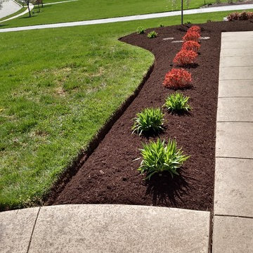 Sidewalk and Landscaping