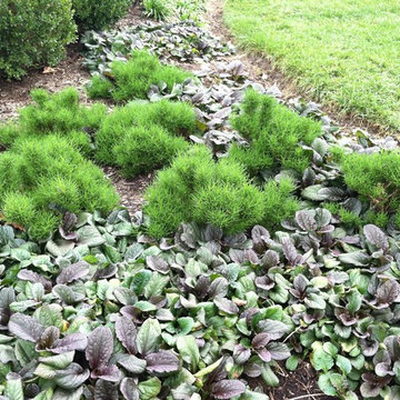 Planting Design