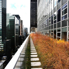 green roofs