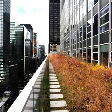 2015 Garden Dialogues: Manhattan, Midtown Sky Garden, June 20