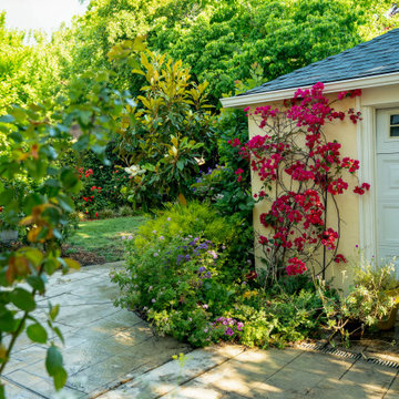 Bougainvillea and Magnolia Framing a Colorful Garden Walk