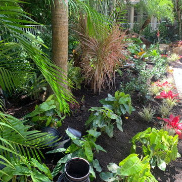 TROPICAL BACKYARD