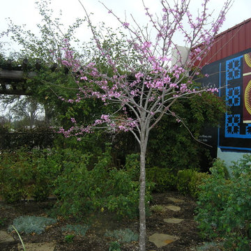 Texas Quilt Museum: Grandmother’s Garden