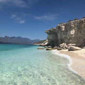 Cathy Giese's photo