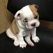 Moka Rivera's photo