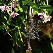 Foto de Poh Lee
