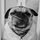 karri_custardo