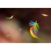 Scott Futon's photo