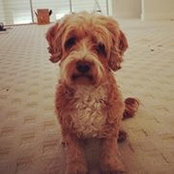 Foto de Casey Adkisson