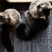 Kathy Hein's photo