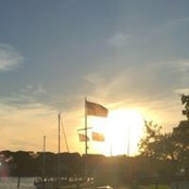 Foto von Tony Oliva