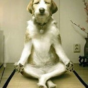 Zohar Silvan's photo