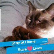 Crystal Huettner's photo