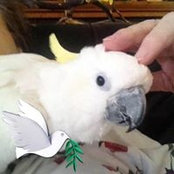 Sharon Daly's photo