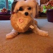 Terri Upham's photo