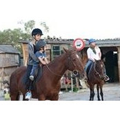 Nadia Zammit's photo