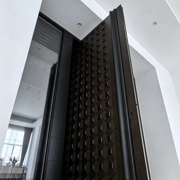 Luxury Bronze Brushed Pivot Entry Door