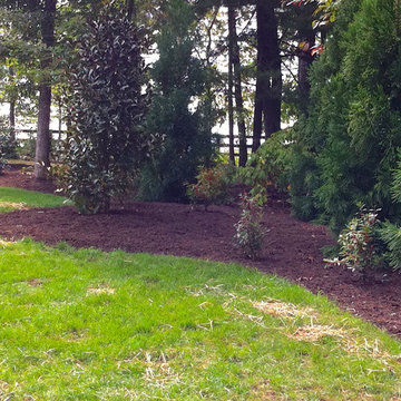 Northern Albemarle County, VA: Deer Out, People & Plants In